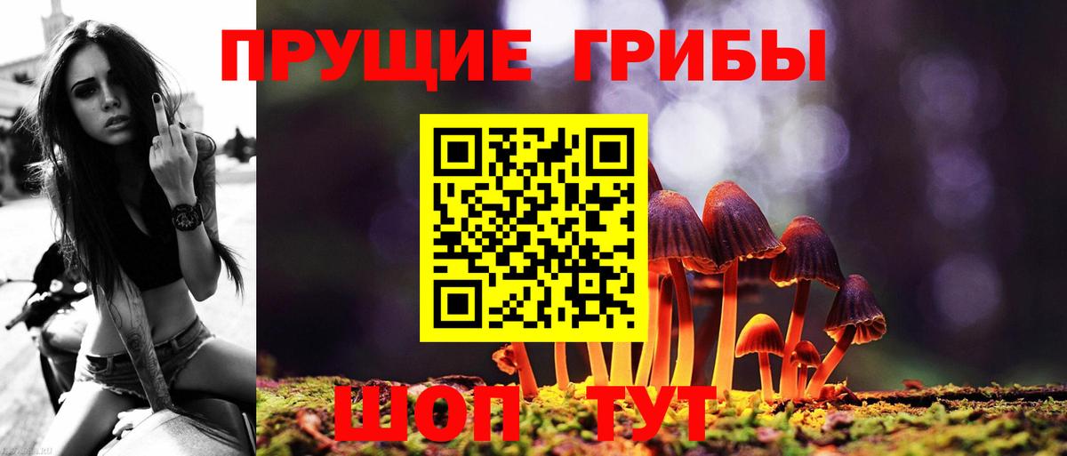 Псилоцибиновые грибы ЛСД  Галлюциногенные грибы Psilocybe  Вход с VPN  Татарск 
